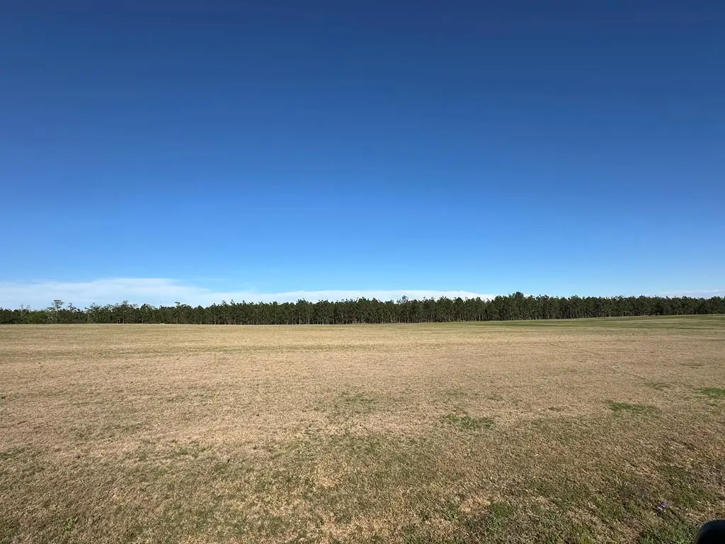 lot 12 Beaver Kreek Road, Douglas, GA 31533 - #1