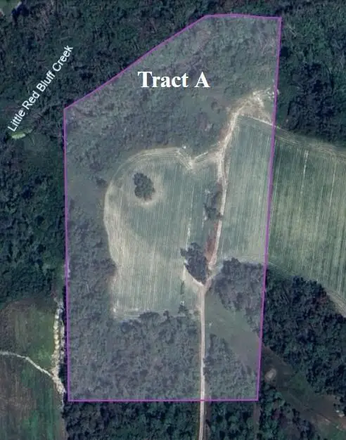 00 Mills Ln. Tract A, Pearson, GA 31642 - #2