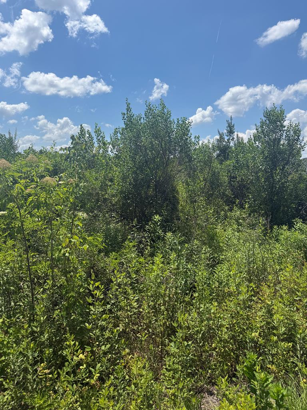 0 Pineview Rd, Alma, GA 31510
