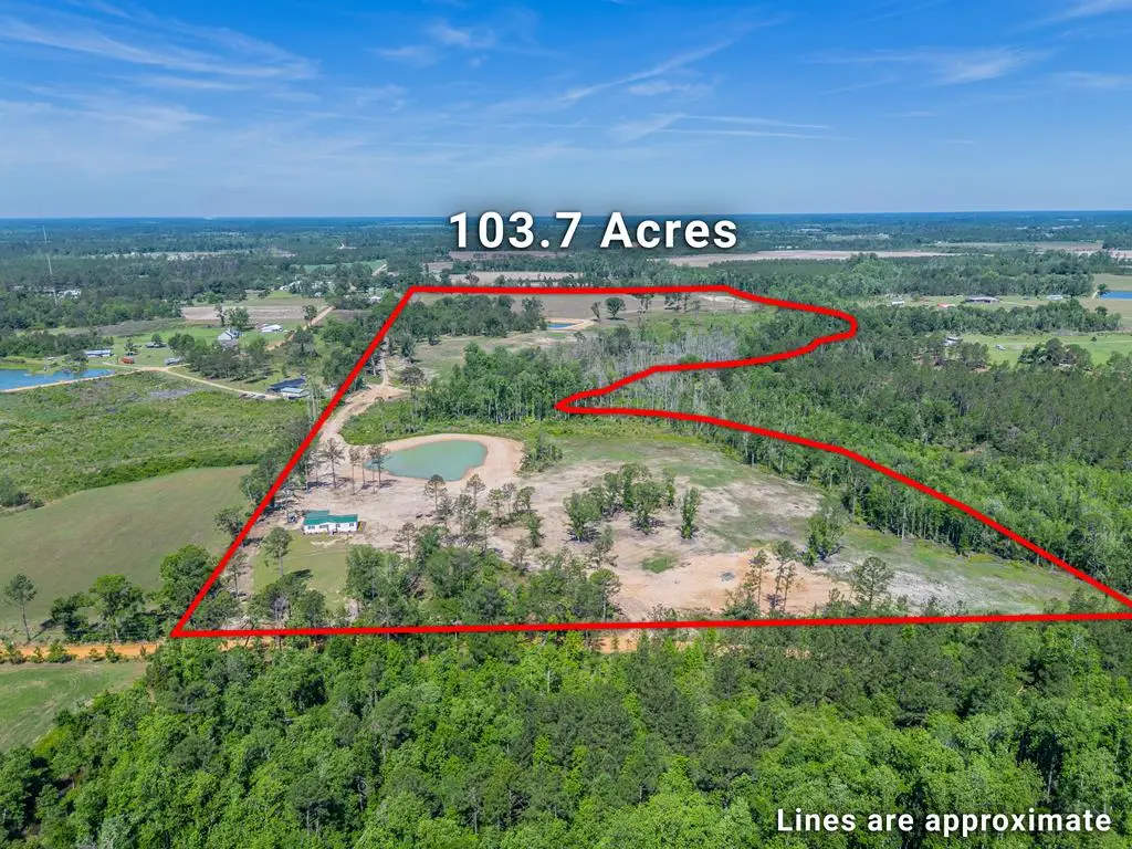 00 Chad Lake Rd, Alma, GA 31510 - #1
