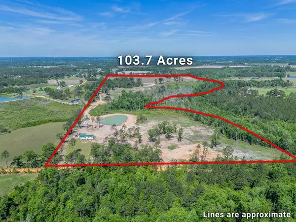00 Chad Lake Rd, Alma, GA 31510