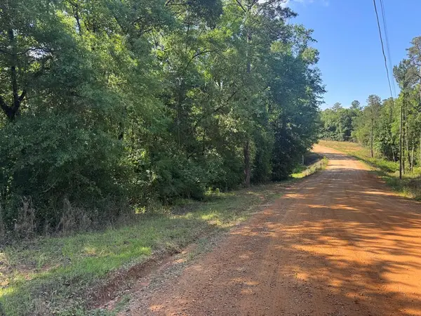 Lot #1 Tanglewood Trail, Georgetown, GA 39854