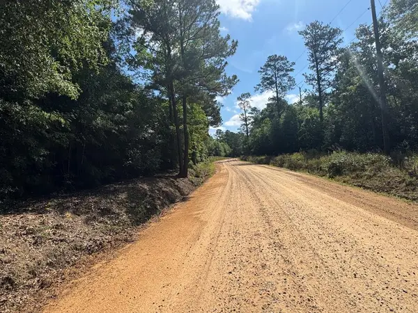 Lot #2 Tanglewood Trail, Georgetown, GA 39854