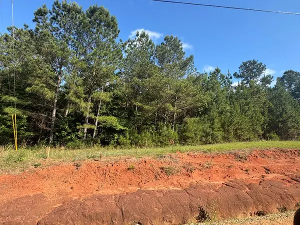 Lot #4 Tanglewood Trail, Georgetown, GA 39854