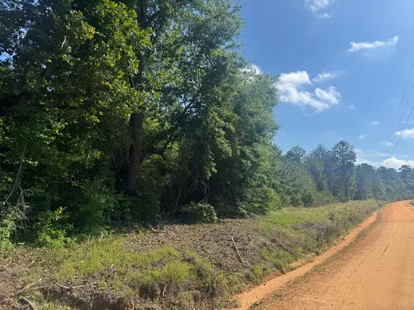 Lot #6 Lewis Drive, Georgetown, GA 39854