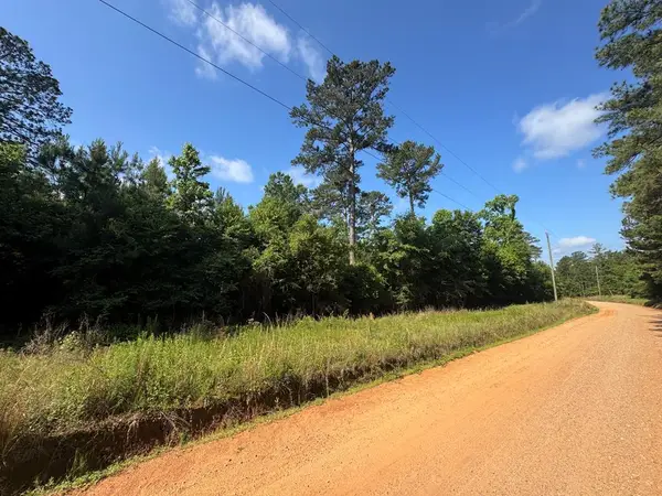 Lot #8 Lewis Drive, Georgetown, GA 39854