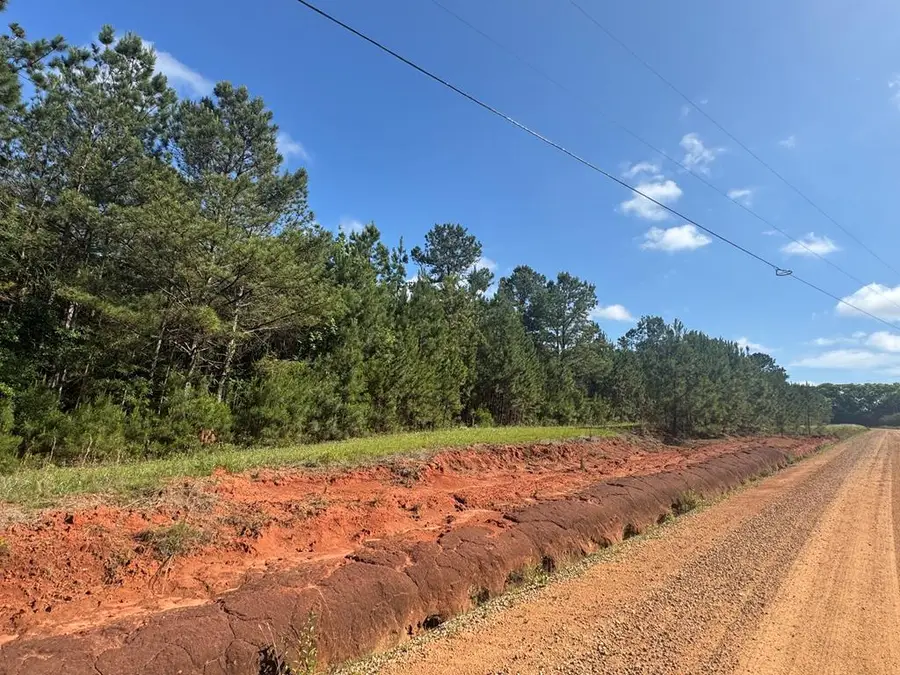 Lot #8 Lewis Drive, Georgetown South, GA 39854 - #3