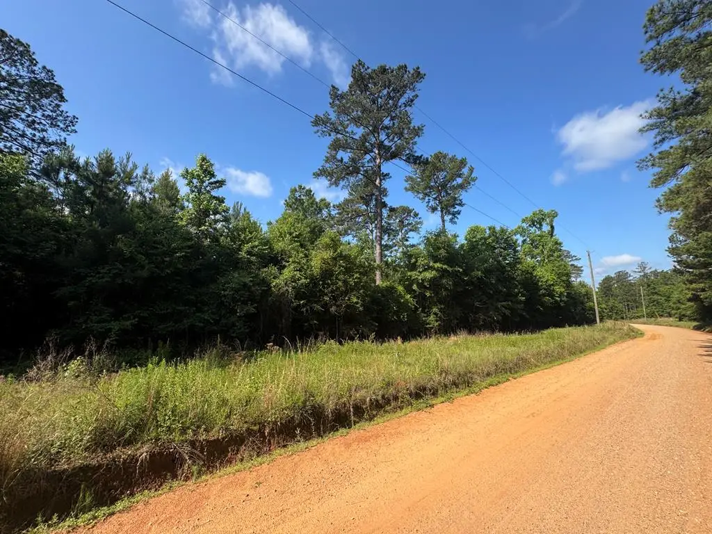 Lot #9 Lewis Drive, Georgetown South, GA 39854 - #1