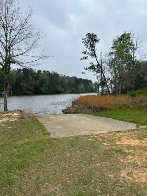 Lot #9 Lewis Drive, Georgetown South, GA 39854 - #2