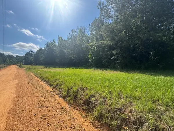 Lot #10 Lewis Drive, Georgetown, GA 39854