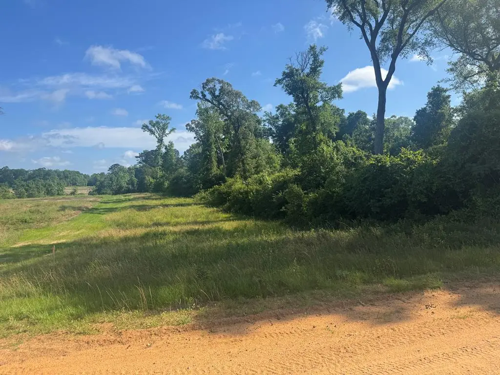 Lot #15 Moore Meadow Drive, Georgetown South, GA 39854 - #1