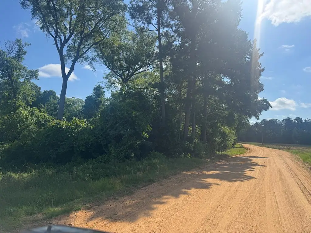 Lot #16 Moore Meadow Drive, Georgetown South, GA 39854 - #1