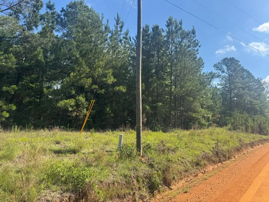 Lot #17 Moore Meadow Drive, Georgetown South, GA 39854 - #1