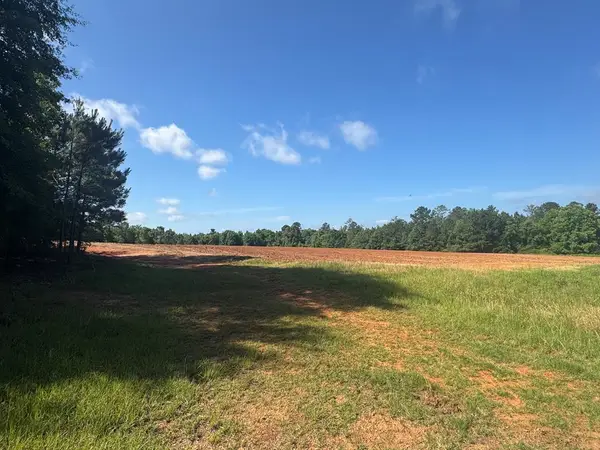 Lot #22 Moore Meadow Drive, Georgetown, GA 39854
