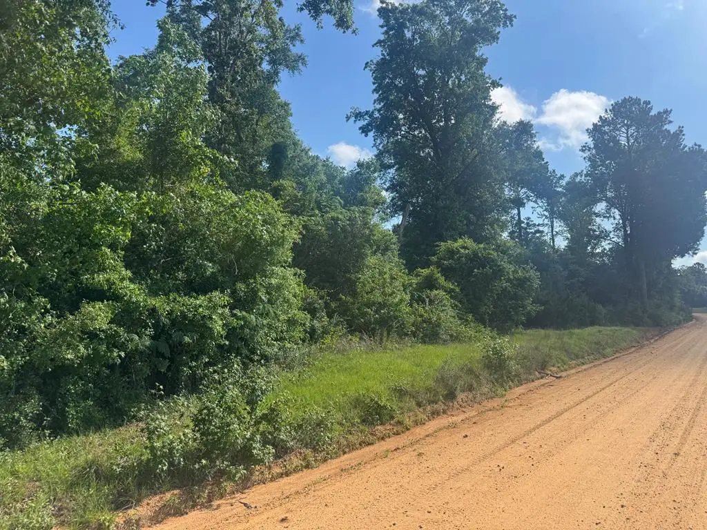 Lot #23 Moore Meadow Drive, Georgetown South, GA 39854 - #1