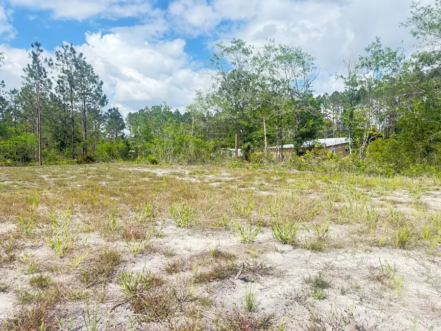 680 Elmer Thrift Rd, Waycross, GA 31503 - #3