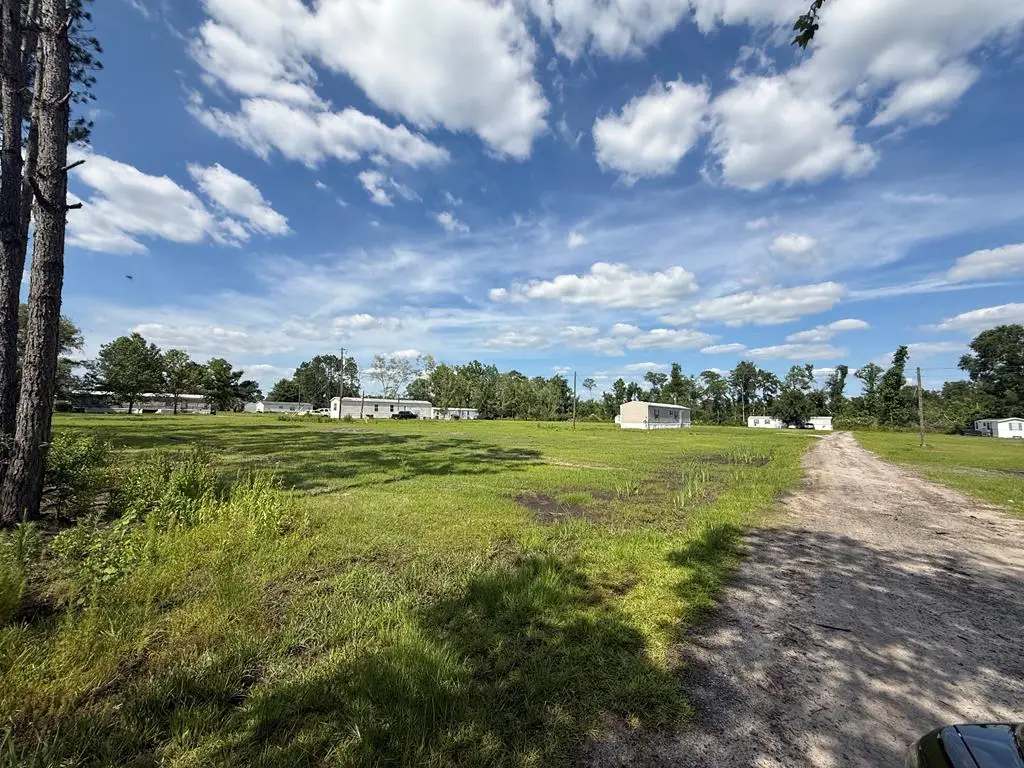 1721 Clyde Kirkland Rd, Douglas, GA 31533 - #1