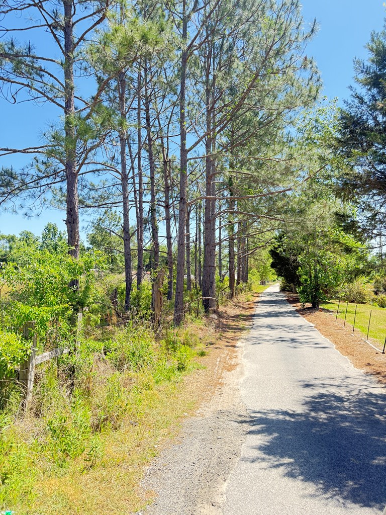 1721 Clyde Kirkland Rd, Douglas, GA 31533 - #2