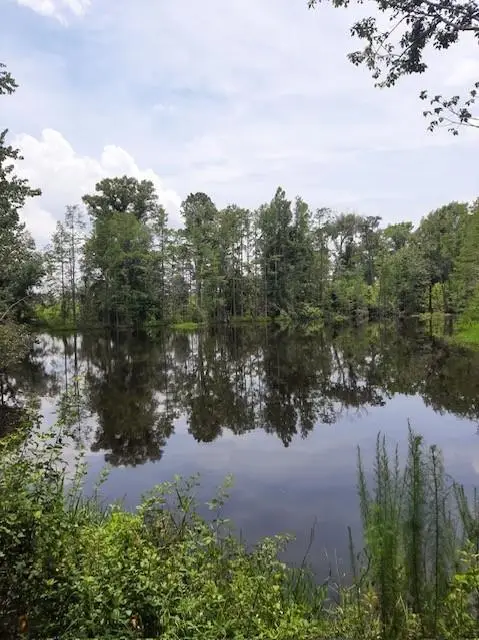 928 Mt. Pleasant Ch. Rd., Pearson, GA 31642