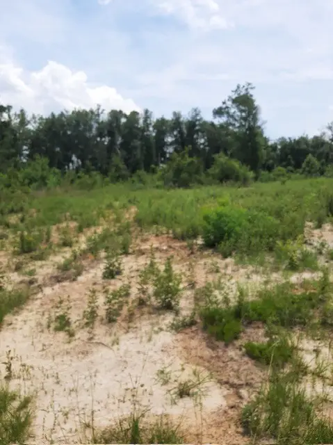 928 Mt. Pleasant Ch. Rd., Pearson, GA 31642 - #2