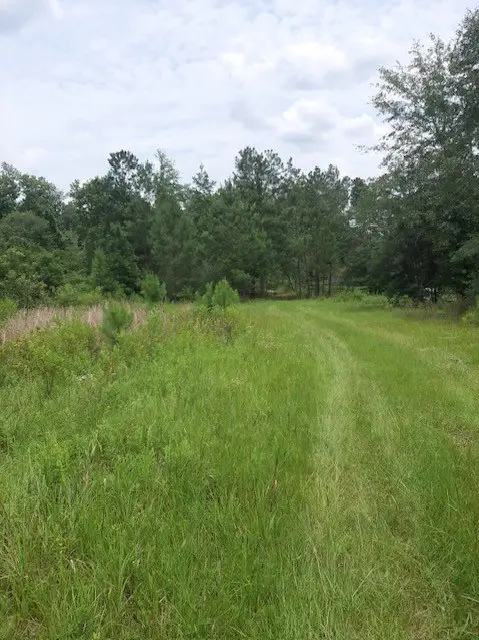 928 Mt. Pleasant Ch. Rd., Pearson, GA 31642 - #3