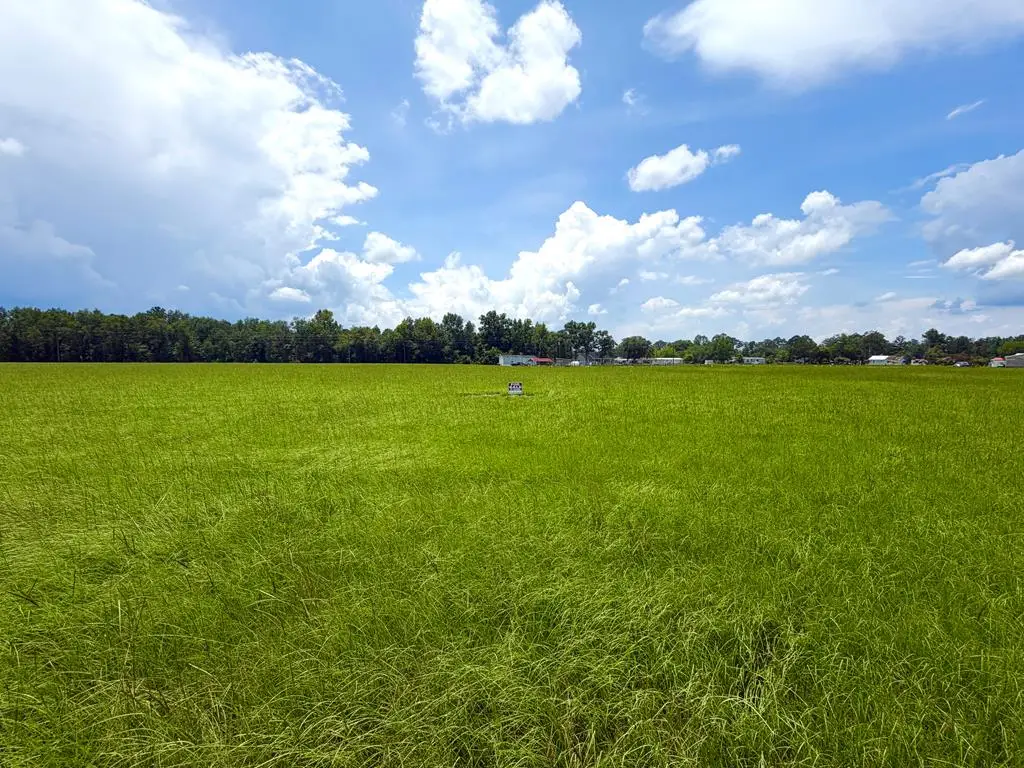 00 Alpine Tr, Willacoochee, GA 31650 - #1