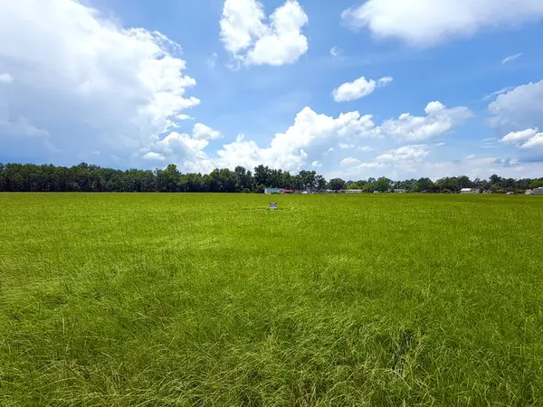 00 Alpine Tr, Willacoochee, GA 31650