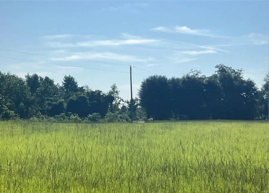 00 Alpine Tr, Willacoochee, GA 31650 - #2