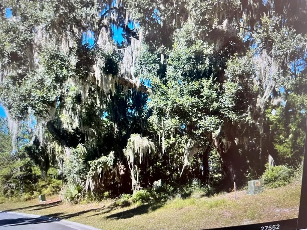 Lot 503 Nautical Mile Rd, Waverly, GA 31565 - #1