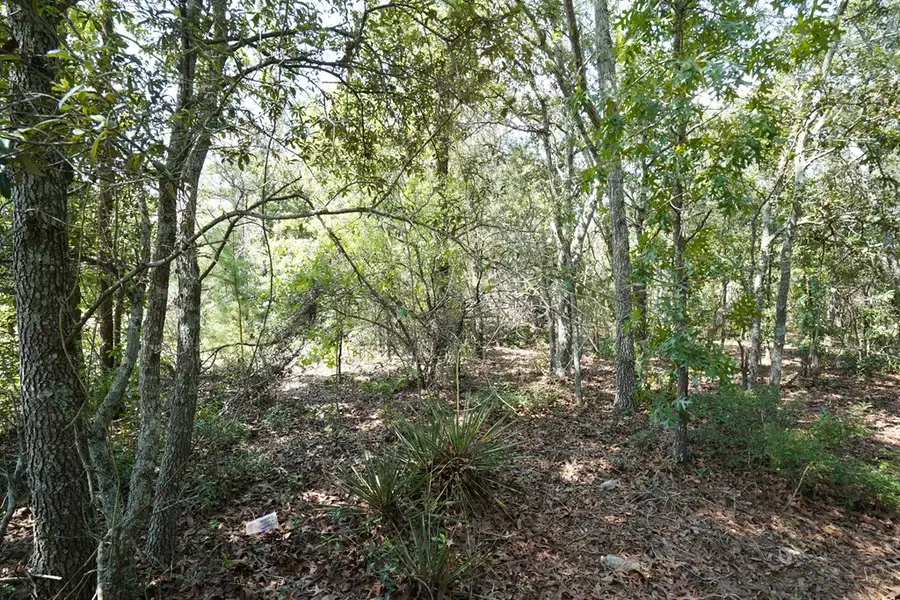 00 Cobblestone Rd, Douglas, GA 31535 - #3