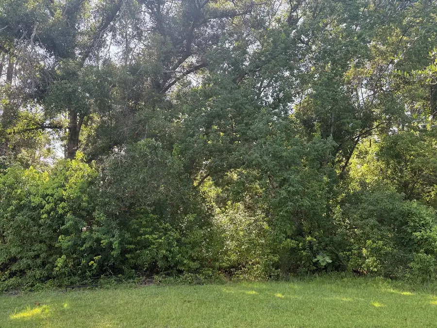 0 Peachtree, Douglas, GA 31533 - #3