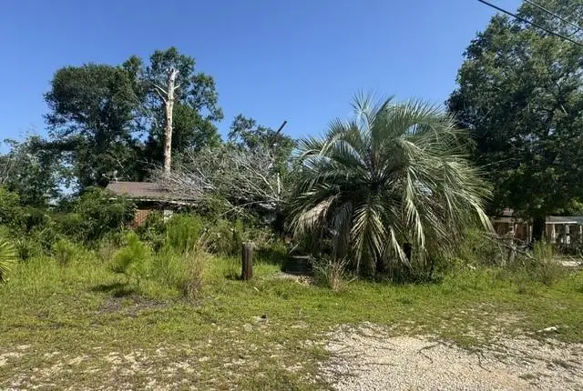 71 Hallspur Road, Hazlehurst, GA 31539 - #1