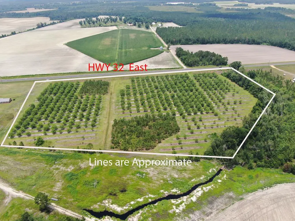 00 Hwy 32 East, Nicholls, GA 31554 - #1