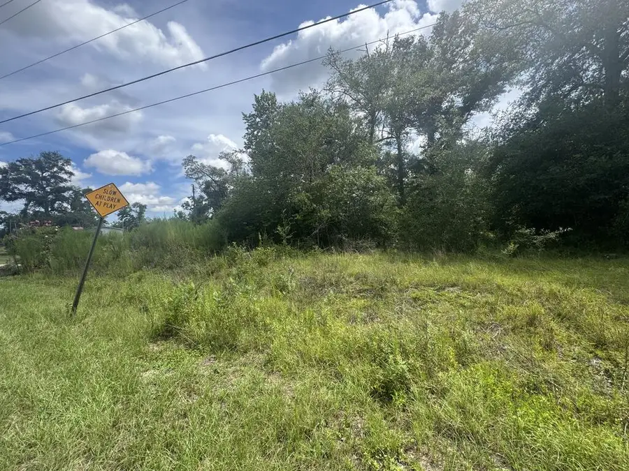 535 Dead River Road, Uvalda, GA 30473 - #2