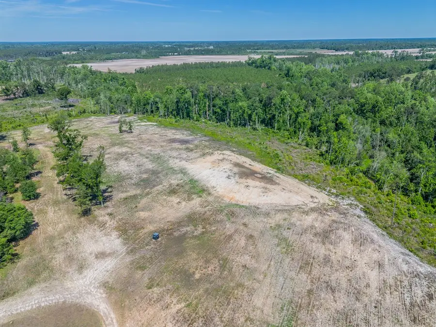 00 Chad Lake Rd, Alma, GA 31510 - #2