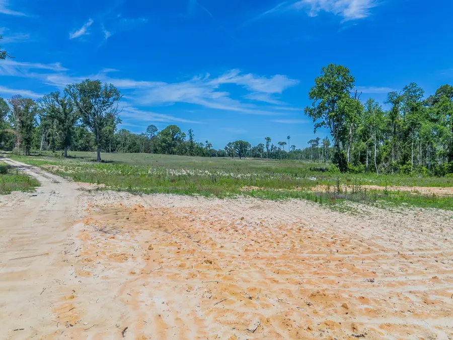 00 Chad Lake Rd, Alma, GA 31510 - #3