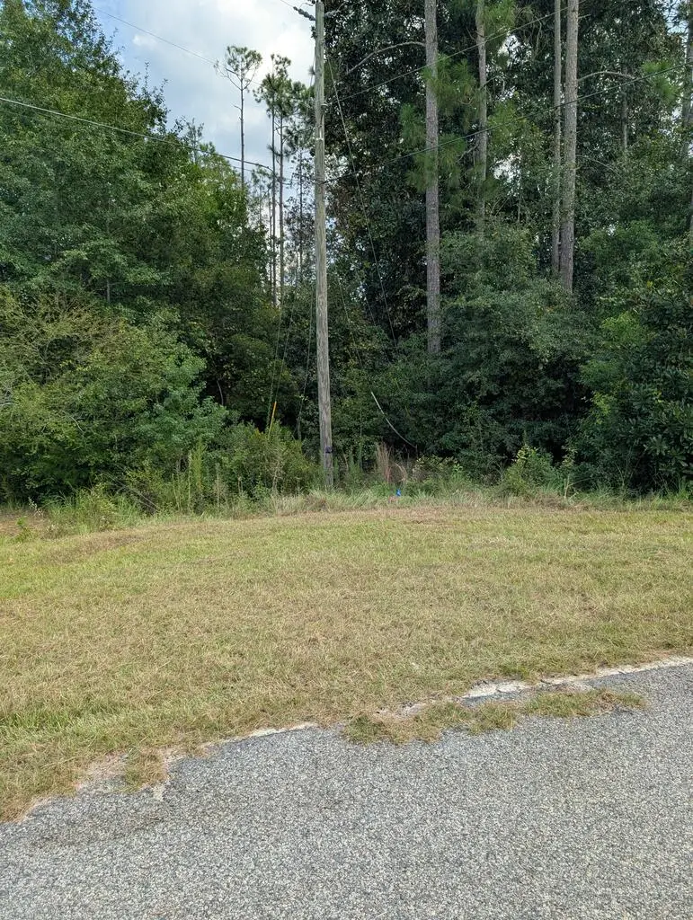 00 Corbitt Dr, Douglas, GA 31533 - #2