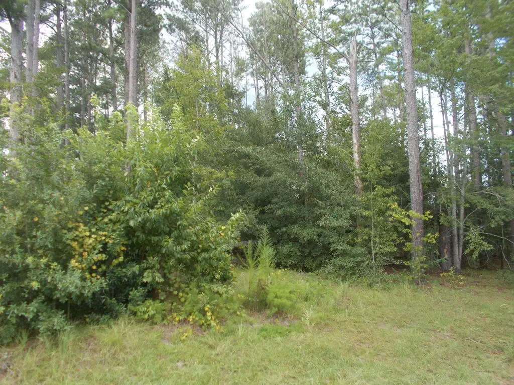 0 Woodlake Circle Tract 1, Douglas, GA 31535 - #1
