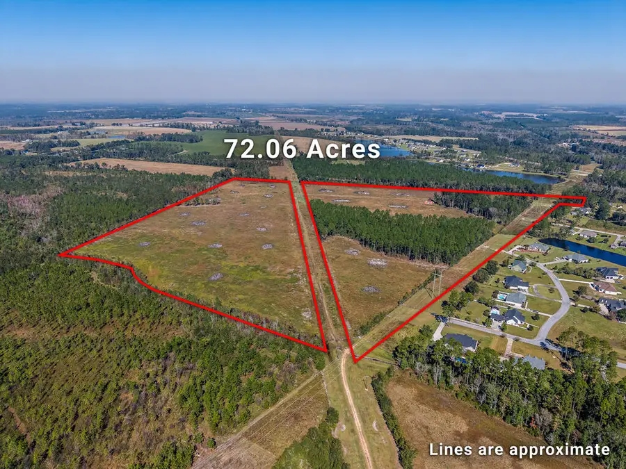 0 Berry Drive, Broxton, GA 31519 - #3
