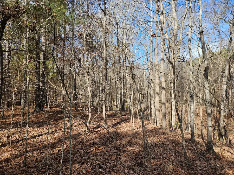 LOT 4 Elberton Highway, Lincolnton, GA 30817 - Image #3