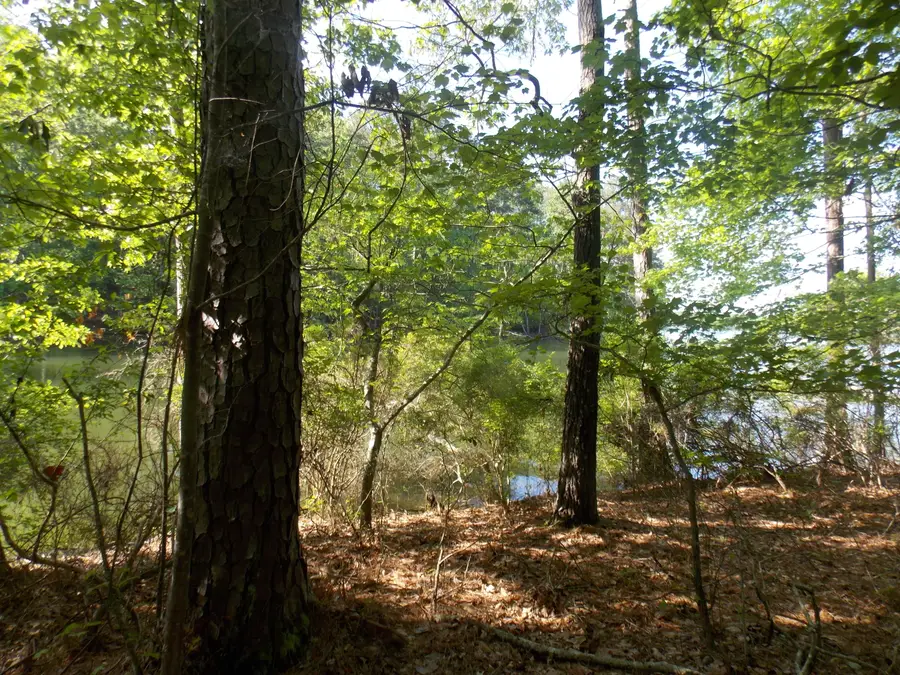 12 Riverview Court, Lincolnton, GA 30817 - Image #2