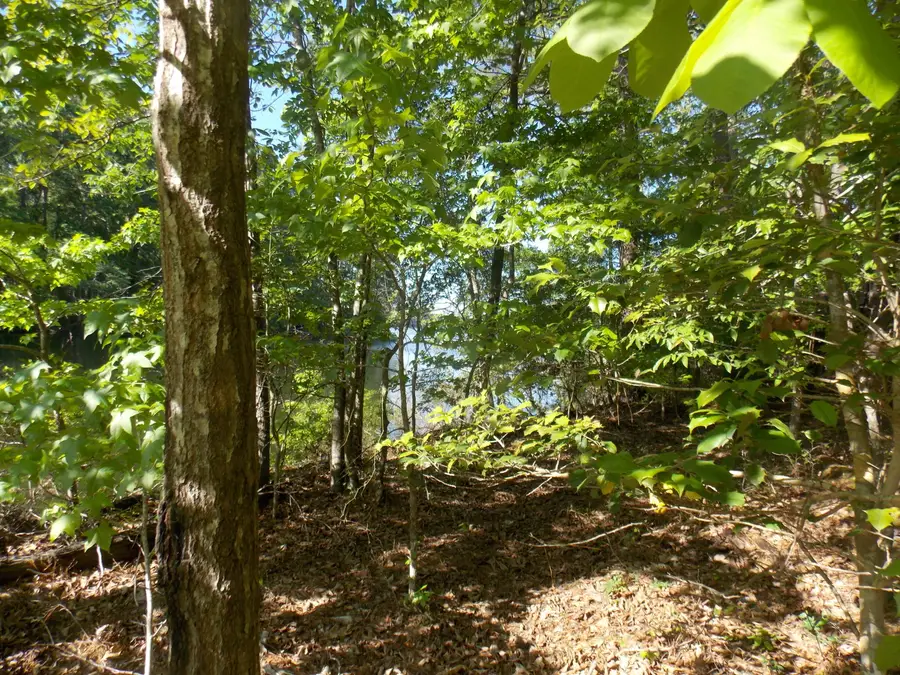 13 Riverview Ct, Lincolnton, GA 30817 - Image #2