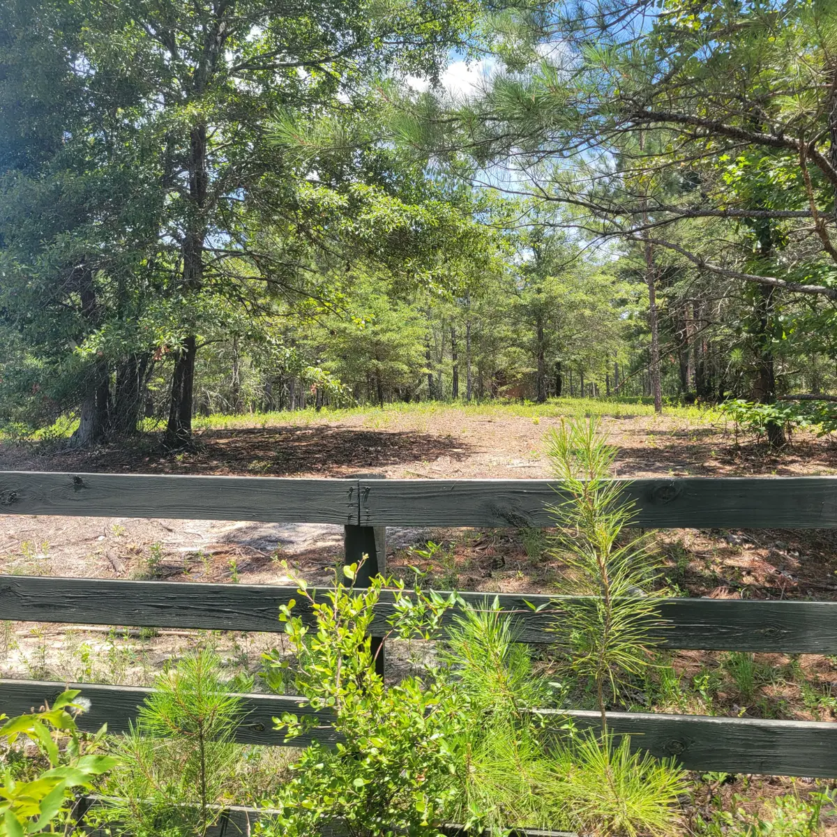 000 Connector Road, Graniteville, SC 29829 - Image #1
