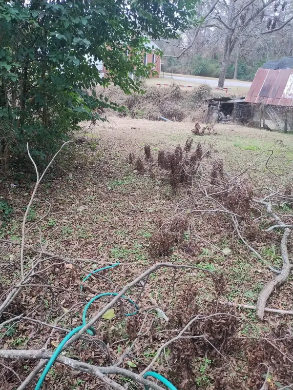 0 Summerland Avenue, Batesburg-Leesville, SC 29006