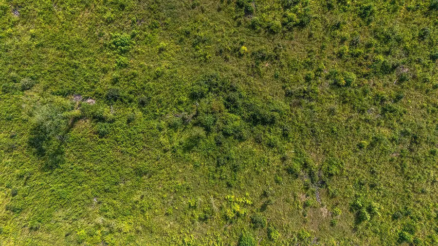 11ac Ouzts Road, Edgefield, SC 29824 - Image #3