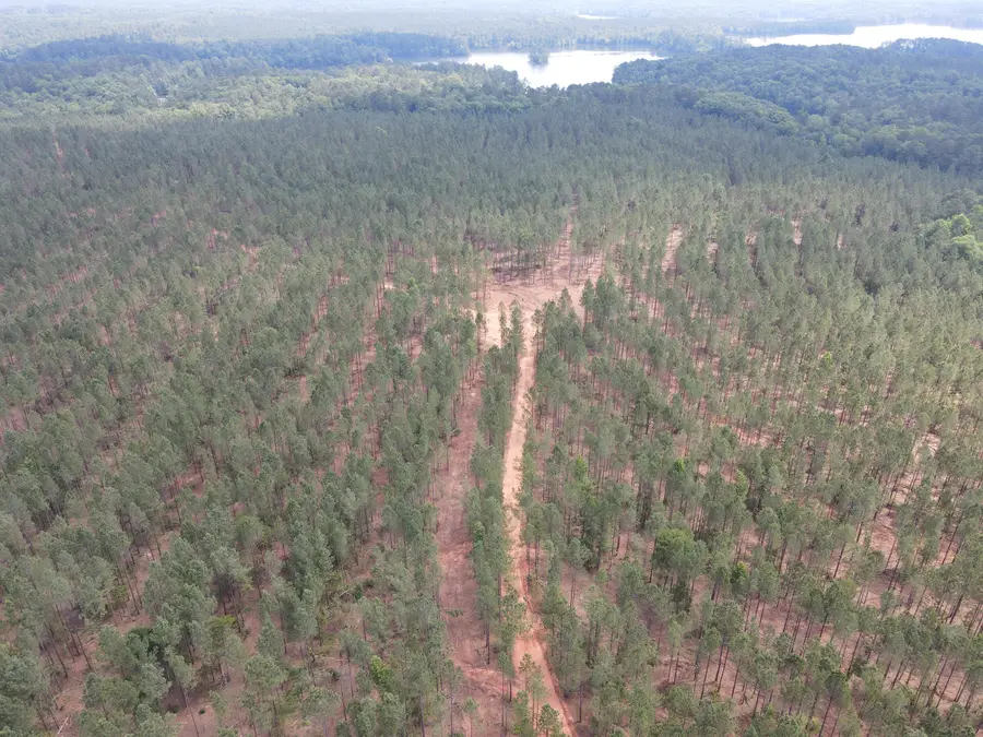 0 Aramathea Church Road, Lincolnton, GA 30817 - Image #3