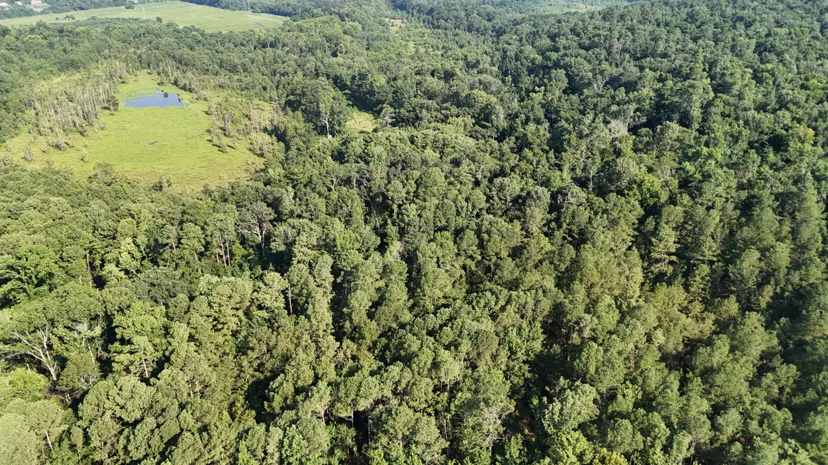 0 Swamp Road, Beech Island, SC 29842 - Image #1