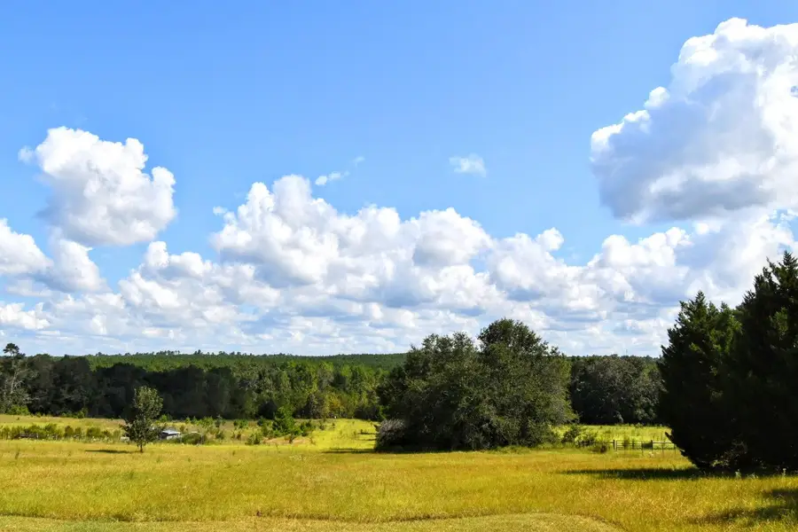 5209 Neely Road, Hephzibah, GA 30815 - Image #3