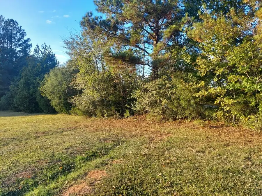0 Clary Cut Road, Appling, GA 30802 - Image #3
