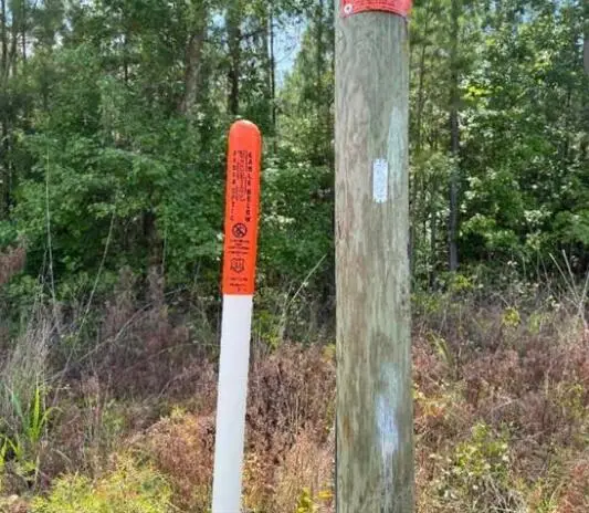 Lot M4 Old Edgefield Road, Ninety Six, SC 29666 - Image #2